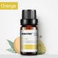 Botanical Aromatherapy Essential Oil